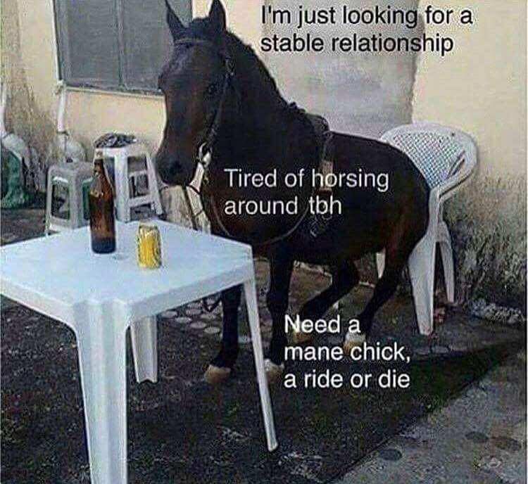 horse sense