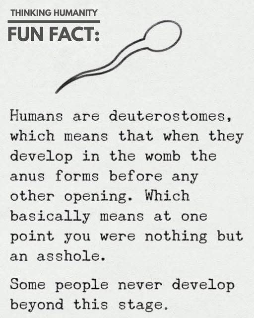 Deuterostomes