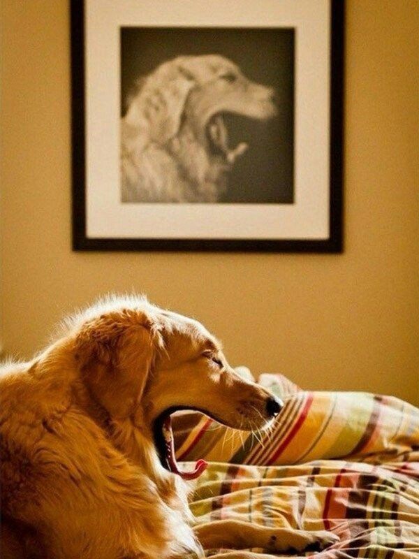 tired