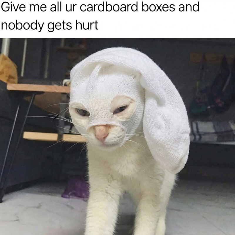 give-all-ur-cardboard-boxes-and-nobody-gets-hurt