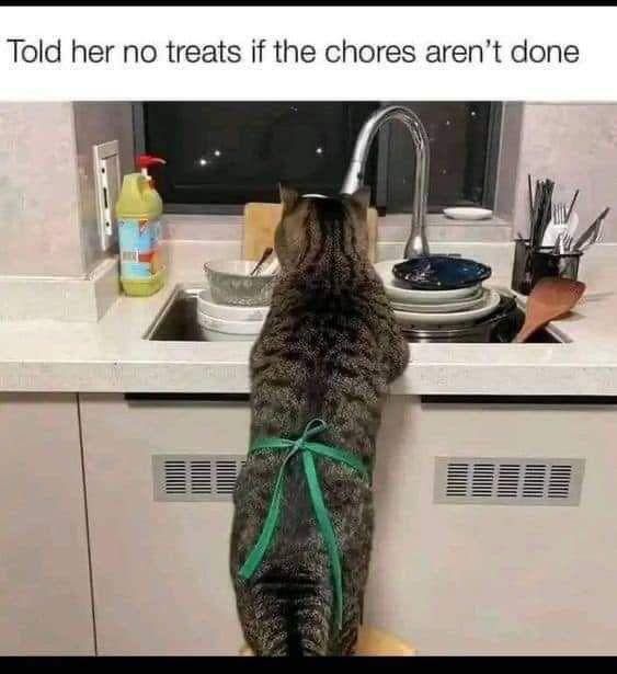 chores