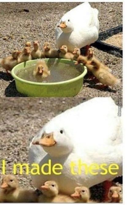 imade-these