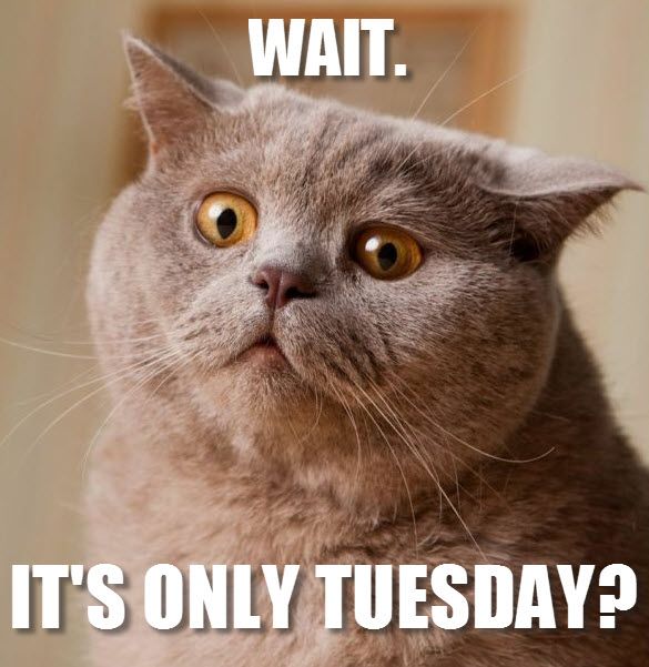 tuesday