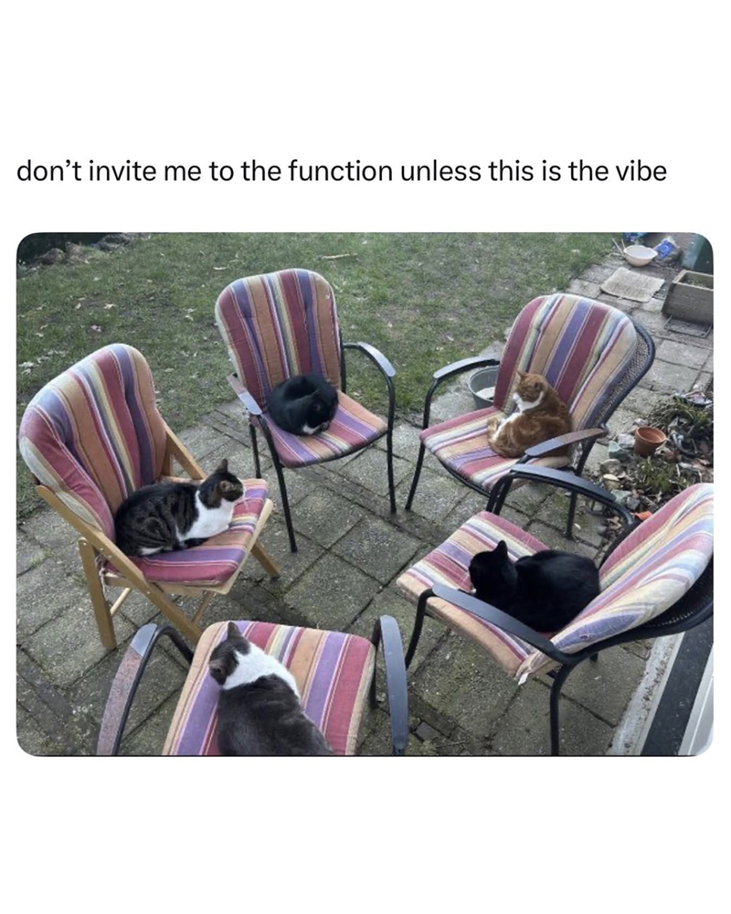 dont-invite-function-unless-this-is-vibe