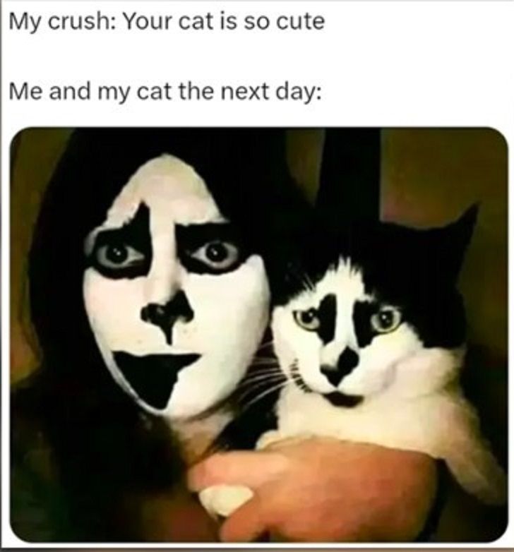 my-crush-your-cat-is-so-cute-me-and-my-cat-the-next-day