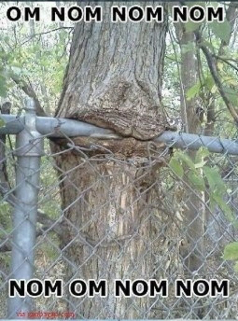 fence nom