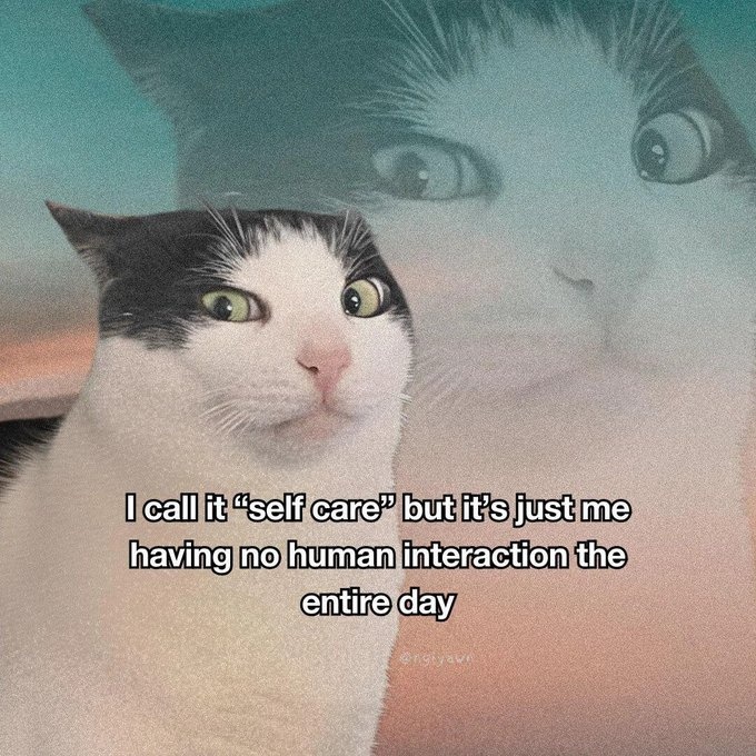 call-self-care-but-s-just-having-no-human-interaction-entire-day