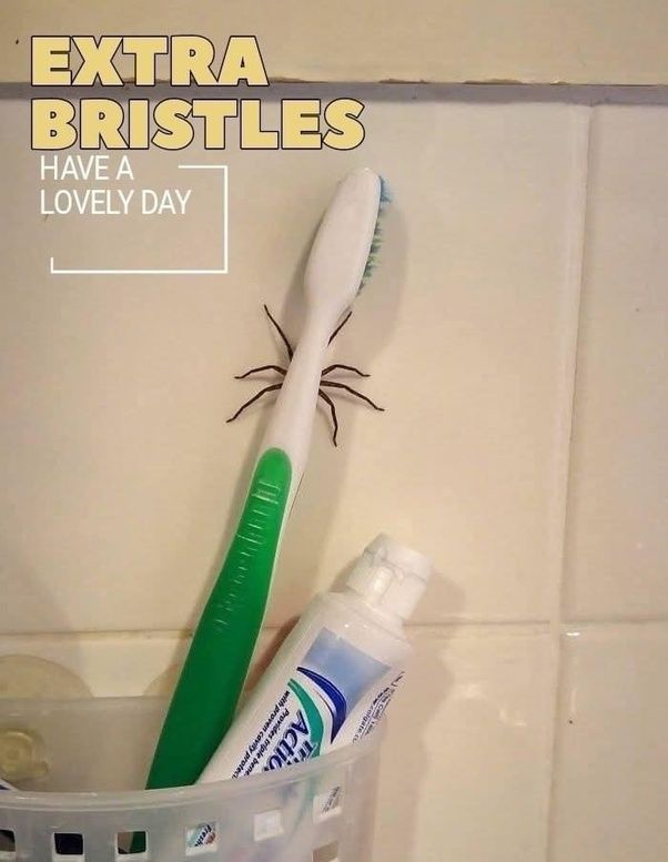 extra bristles