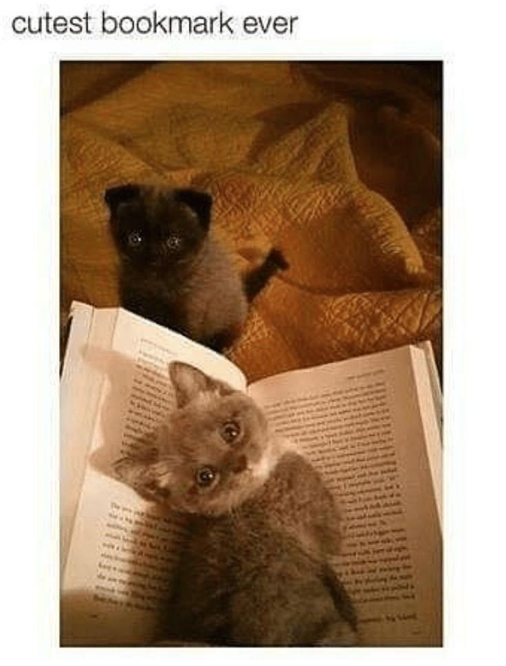cutest-bookmark-ever