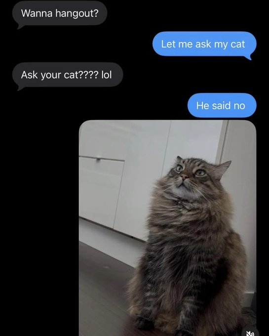 wanna-hangout-ask-cat-lol-let-ask-my-cat-he-said-no