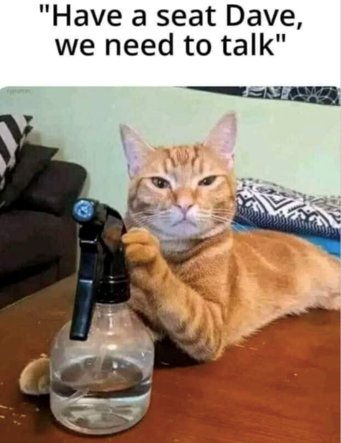 have-seat-dave-need-talk