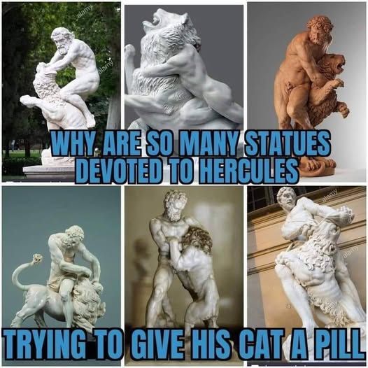 cat pill