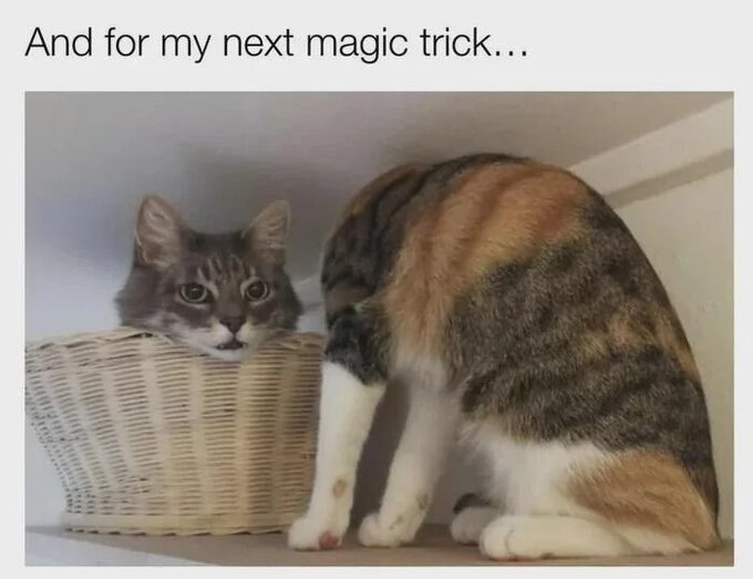 and-my-next-magic-trick