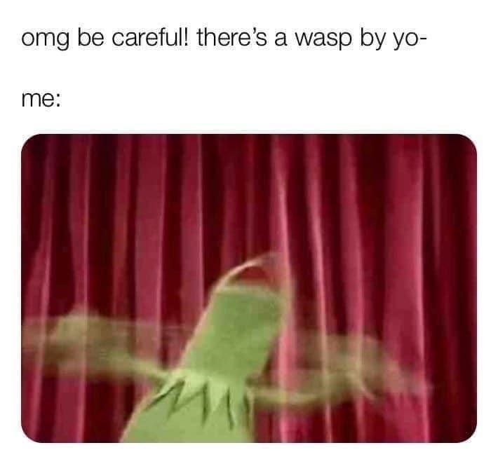 omg-be-careful-theres-wasp-by-yo