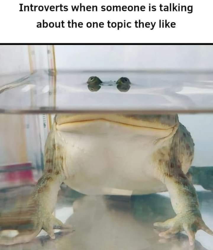 sunglasses-introverts-someone-is-talking-about-one-topic-they-like