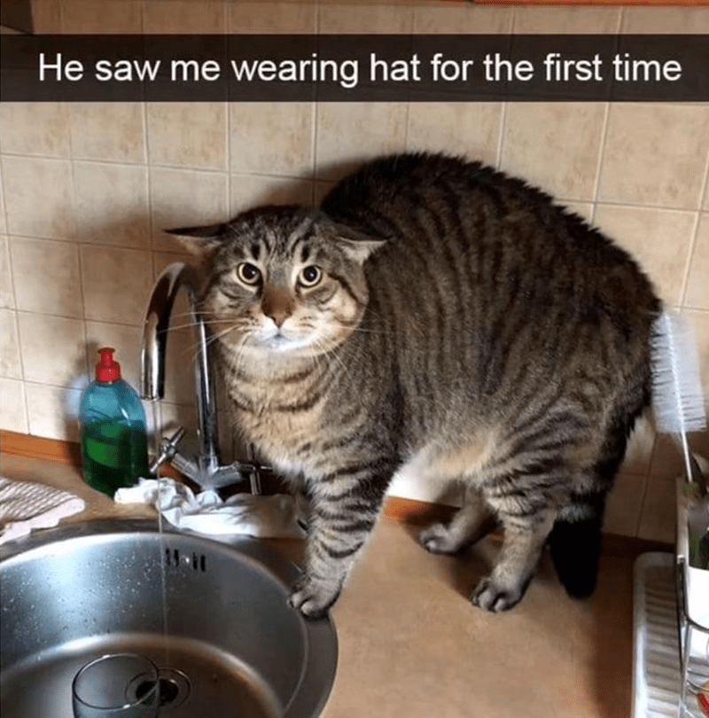 he-saw-wearing-hat-first-time