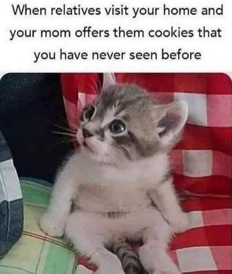cookies-have-never-seen-before