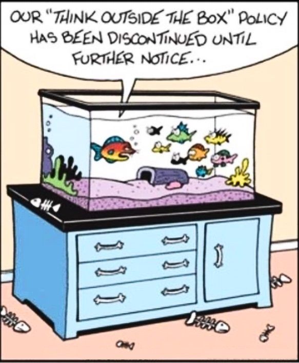 box