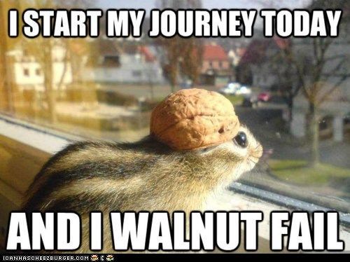 walnut