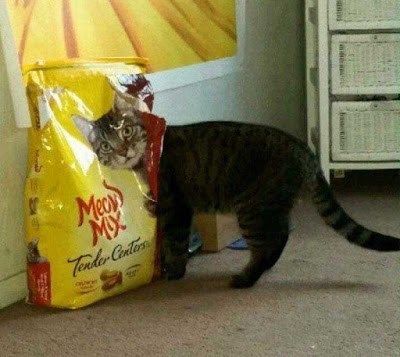 feed bag