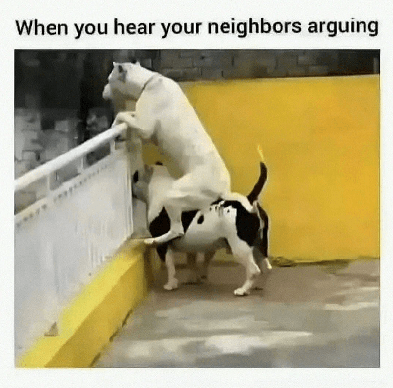 hear-neighbors-arguing