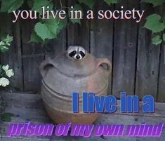 live-society-hive-prison-my-own-mind