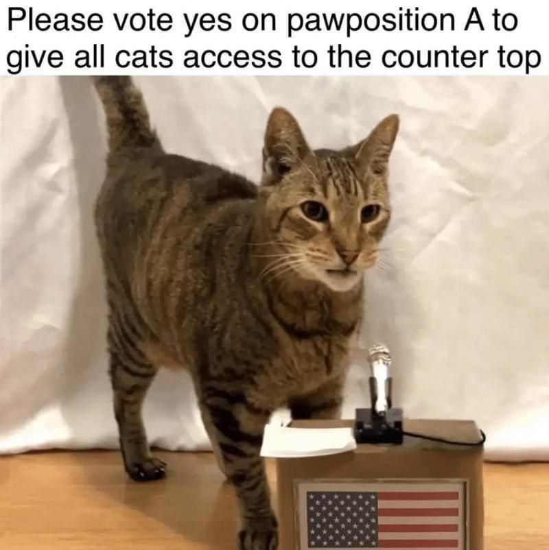 vote yes