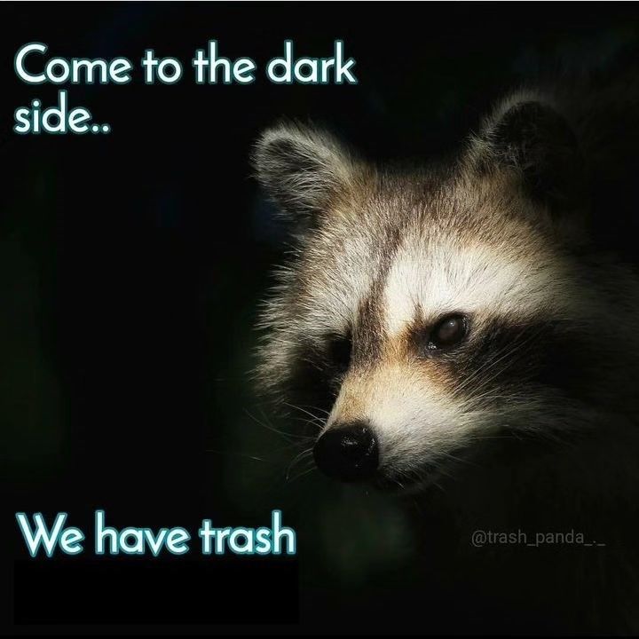 come-dark-side-have-trash