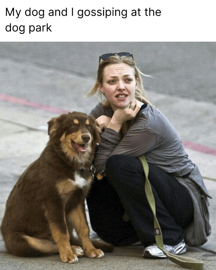 my-dog-and-gossiping-at-dog-park