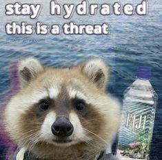 stay-hydrated-this-is-threat