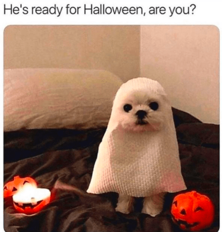 hat-hes-ready-halloween-are