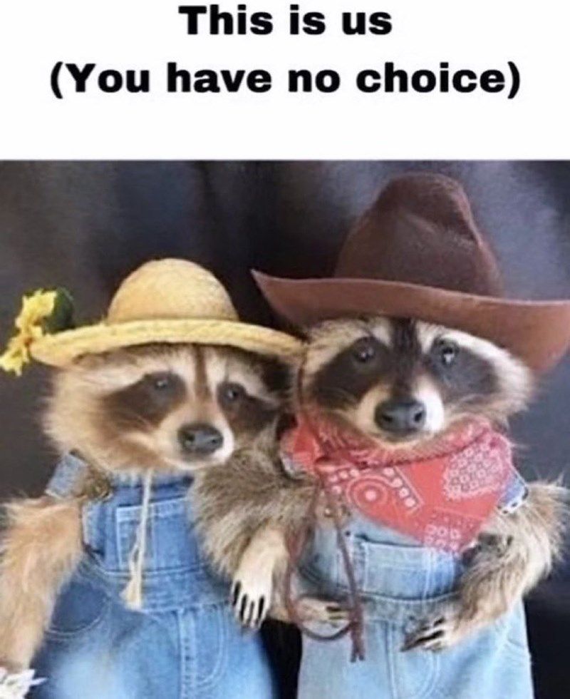 this-is-us-have-no-choice