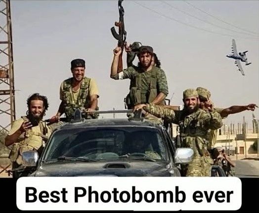 Best Photobomb ever