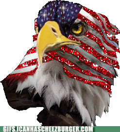 happy-independence-day-american-cheezfriends
