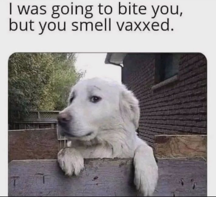 joke meme- (4)