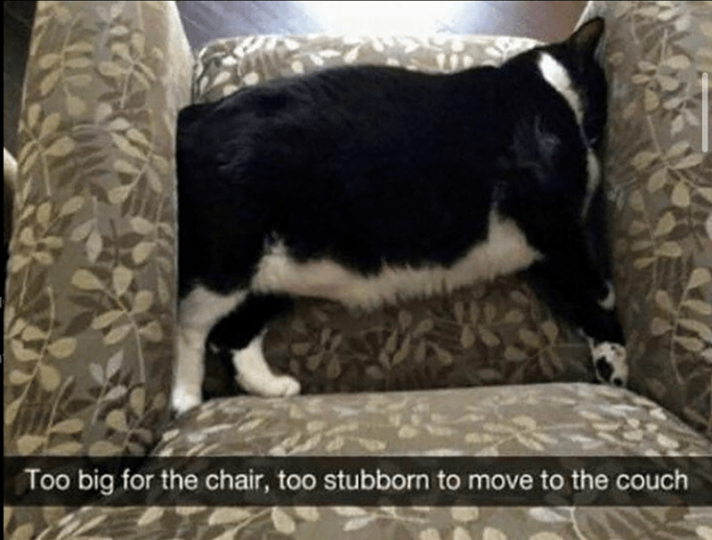 too-big-chair-too-stubborn-move-couch