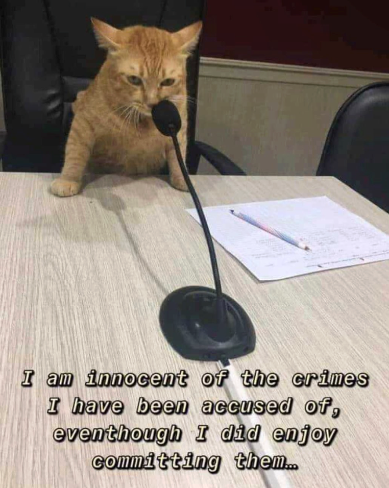 am-innocent-crimes-have-been-accused-eventhough-did-enjoy-committing-them