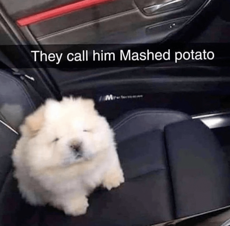 they-call-him-mashed-potato