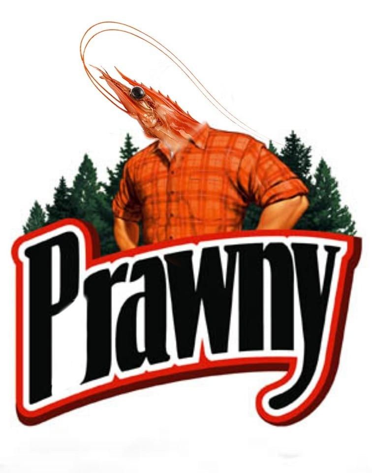 top-prawny