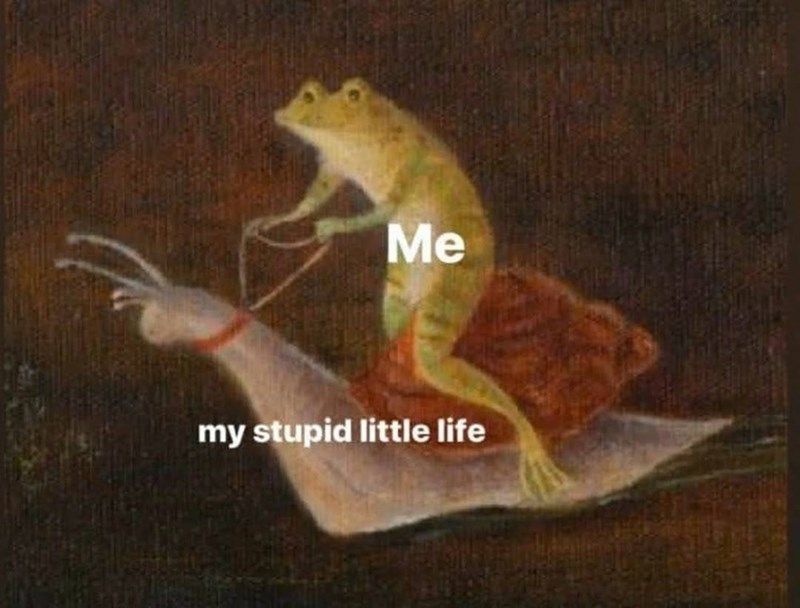 animal-my-stupid-little-life