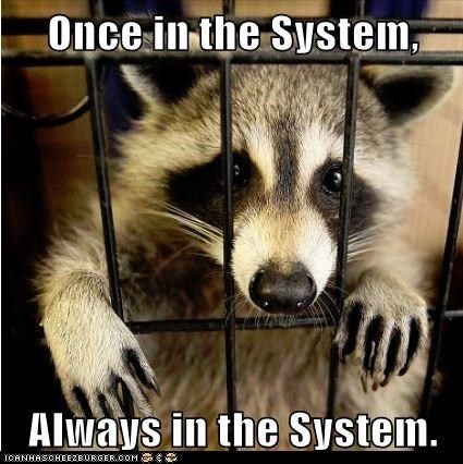 once-in-the-system-always-in-the-system