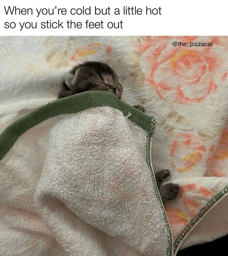 cold-but-little-hot-so-stick-feet-out