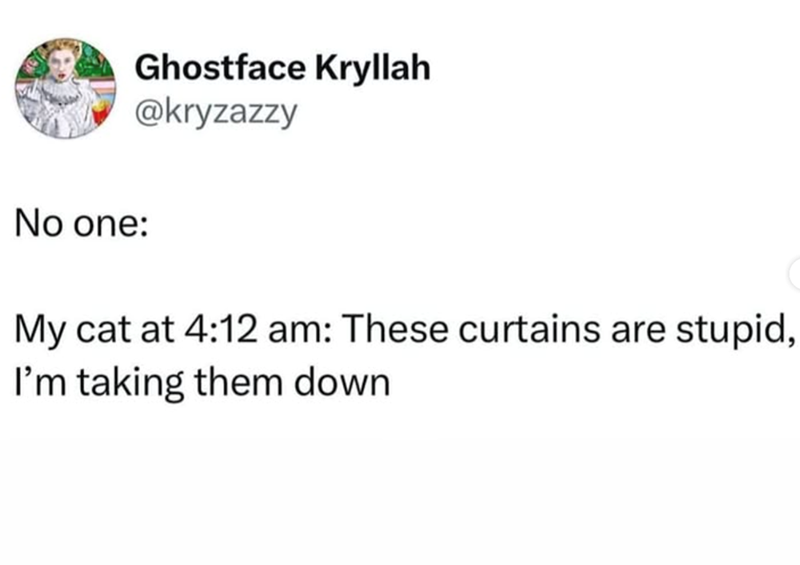 these-curtains-are-stupid-taking-them-down