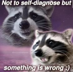 not-self-diagnose-but-something-is-wrong