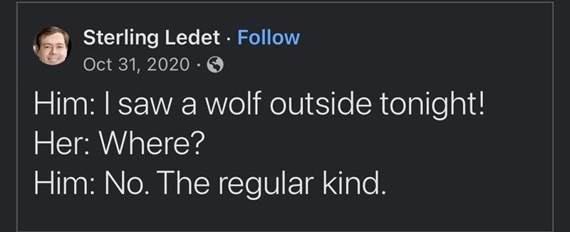 person-sterling-ledet-follow-oct-31-2020-him-saw-wolf-outside-tonight-her-where-him-no-regular-kind