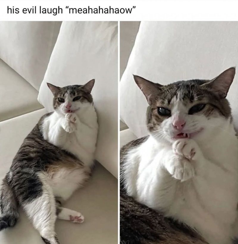 his-evil-laugh-meahahahaow