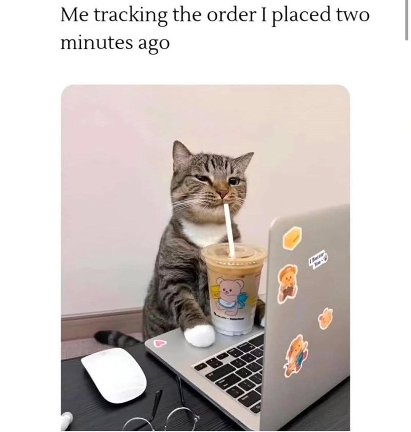tracking-order-placed-two-minutes-ago