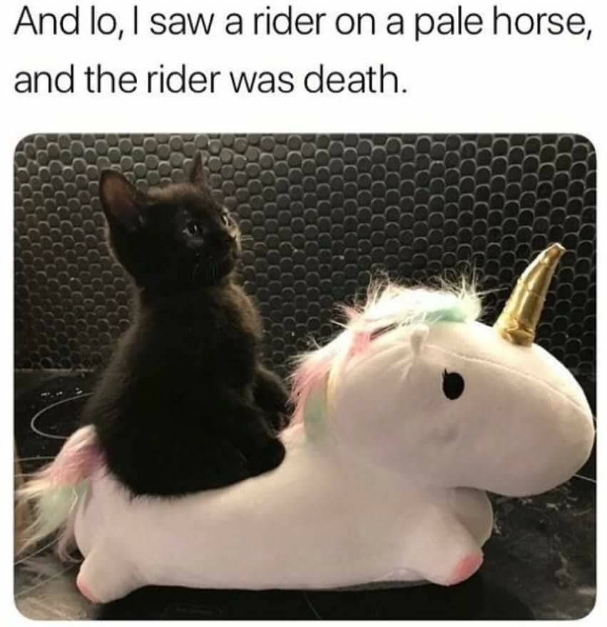 dark rider