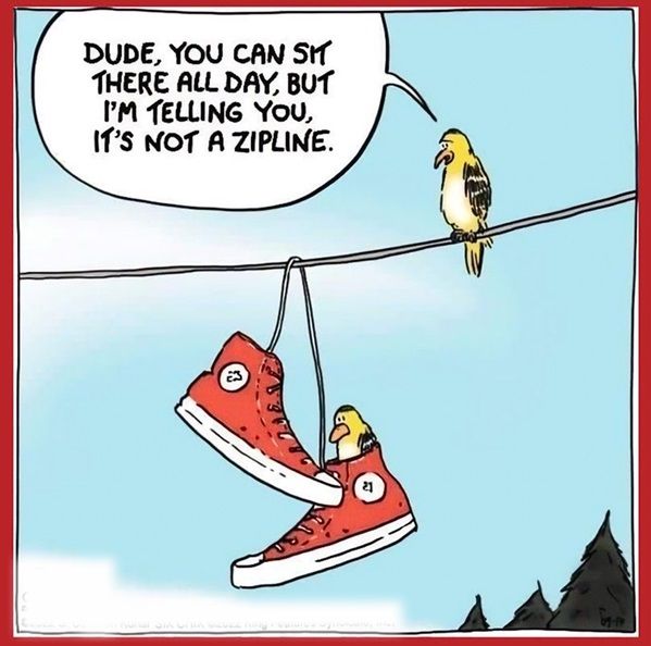 zip line