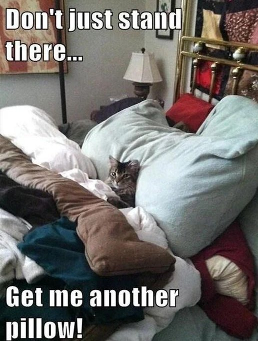 dont-just-stand-there-get-another-pillow